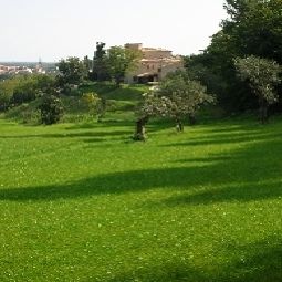 Vista exterior Castello Montegiove Country House Fotos