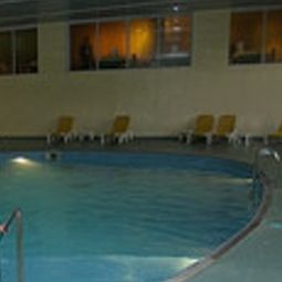 Pool Delphin Habib Fotos