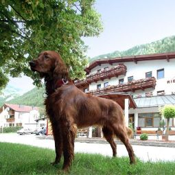 Hotelfotos Riederhof