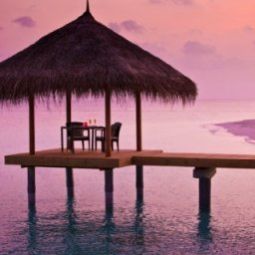 Ресторан Velassaru Maldives Fotos