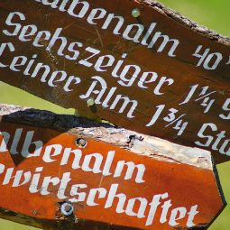 Bauernhof Baby- und Kinderbauernhof Ferienhof Raich Arzl im Pitztal 