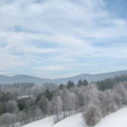  Pernsteiner Gasthof Fotos