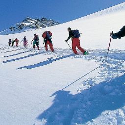 Alpenrose im Virgental in Osttirol Pension Prägraten 
