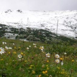  Europa Pension Tirol Fotos