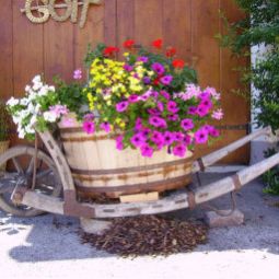  Bauernhof Roasnhof Urlaub am Bauernhof Fotos