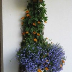  Bauernhof Stegerhof Fotos
