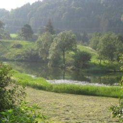  Bauernhof Stegerhof Fotos
