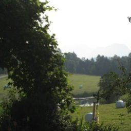  Bauernhof Stegerhof Fotos