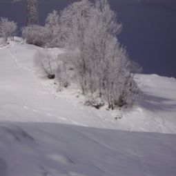  Bauernhof Untererschbaum Fotos