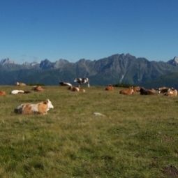  Bauernhof Untererschbaum Fotos