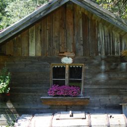 Hotelfotos Bauernhof Gesundheitsbauernhof - Sagenschneider´s