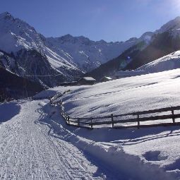 Bauernhof Lex - Urlaub am Bauernhof Gries 