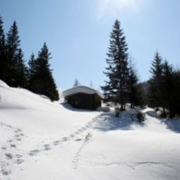  - Hohe Burg Fotos