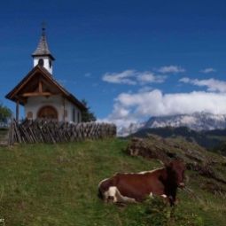 Hotelfotos Bauernhof FerienparadiesTaxen