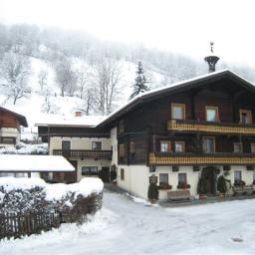 Bauernhof Bio - Bauernhof TORBAUER Dorfgastein 