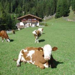 Фасад Bauernhof Landhaus Taurer Fotos