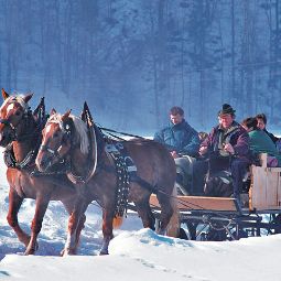 Bauernhof Familienbauernhof Köss - Wohlfühlen und Genießen Egg 