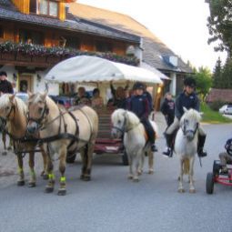 Außenansicht Bauernhof Willkommen beim Steinbauer Fotos