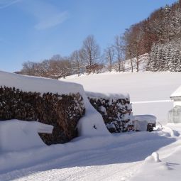 Bauernhof Waschlgut. Urlaub mit Kulturgenuss. Ebenau 