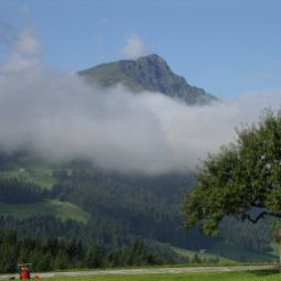 Panorama Bauernhof Elsbichlhof-Apartments in Tirol beim Biobauern Fotos
