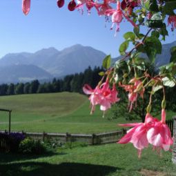 Panorama Bauernhof Elsbichlhof-Apartments in Tirol beim Biobauern Fotos