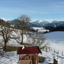  Bauernhof Elsbichlhof-Apartments in Tirol beim Biobauern Fotos