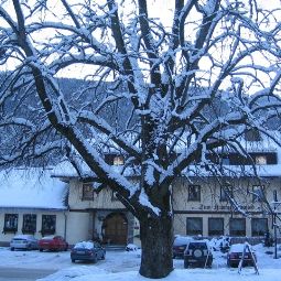 Familienurlaub Reiterhof Zum Hammerschmied Gasthof Ranten 