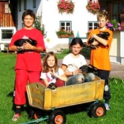  Bauernhof Ferienwohnungen/Ponyreiten/Pferdeschlitten Fotos