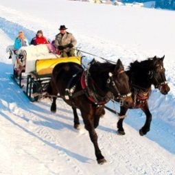  Bauernhof Ferienwohnungen/Ponyreiten/Pferdeschlitten Fotos