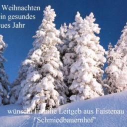  Bauernhof Ferienwohnungen/Ponyreiten/Pferdeschlitten Fotos
