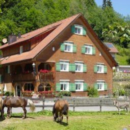 Vista exterior Gasthaus Schäfle Fotos