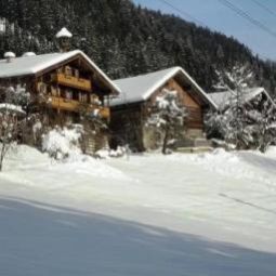 Bauernhof Ploiergut Eben im Pongau 