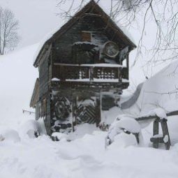  Bauernhof Bio - Erlebnis - Bauernhof Thonnerhof Fotos