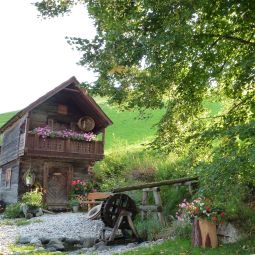 Hotelfotos Bauernhof Bio - Erlebnis - Bauernhof Thonnerhof