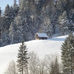 Bauernhof Naglerhof Grossraming 
