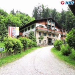 im Wald Hammerschmiede Anthering 