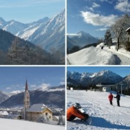  Bauernhof Sternhof Fotos