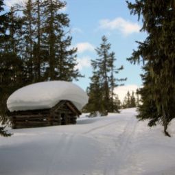  Bauernhof Leitenbauer Fotos