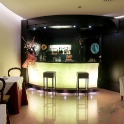 Bar Park Hotel Junior Fotos