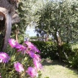 Jardin Marolda Fotos