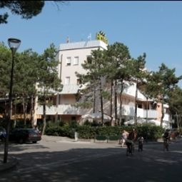 Airone Bibione 