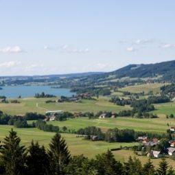  Bauernhof Friedlbauern Fotos
