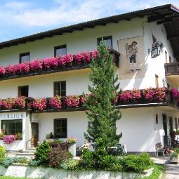 Vogelhändler Pension Spital am Pyhrn 