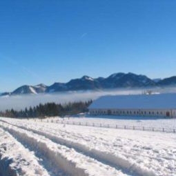  Bauernhof Eine Wohlfühloase erleben beim Steyrbauer Fotos