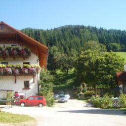 Bauernhof Abenteuer am Pferdehof Krapfweiher Vorderstoder 