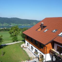 Bauernhof Familienferienhof Stabauer Zell am Moos 