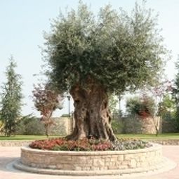 Garten Grand Hotel Del Parco Bergamo Airport Fotos