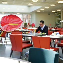 Breakfast room within restaurant Novotel Salerno Est Arechi Fotos
