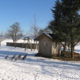 Hotelfotos Bauernhof Wesl - Ferienwohnungen