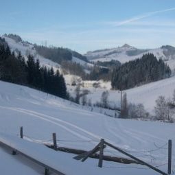 Hotelfotos Forellenhof Holzinger Gasthof